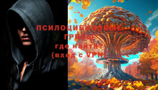 каннабис Арсеньев