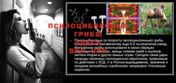 ПСИЛОЦИБИНОВЫЕ ГРИБЫ Аркадак