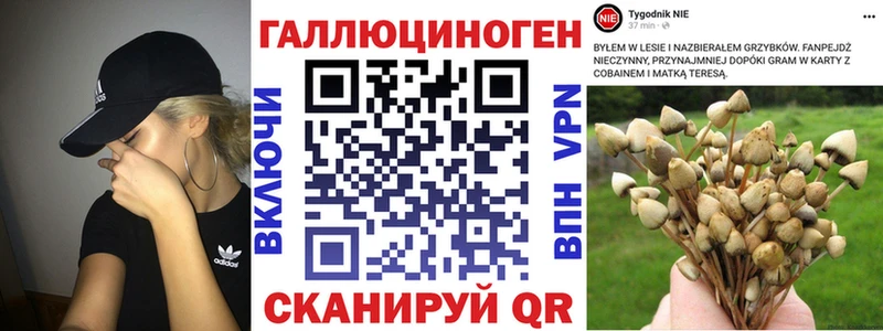 Псилоцибиновые грибы Psilocybe  Купить  Переславль-Залесский 