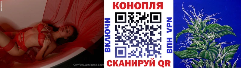 Купить где  Переславль-Залесский  МАРИХУАНА семена 
